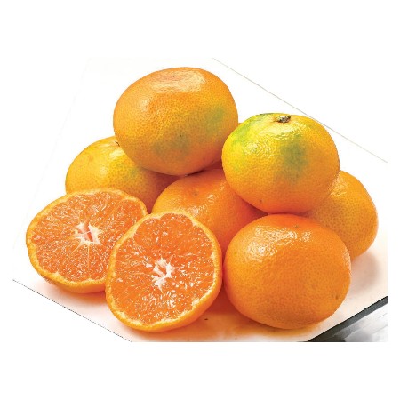 みかん(極早生) 1ネット(Ｍサイズ)