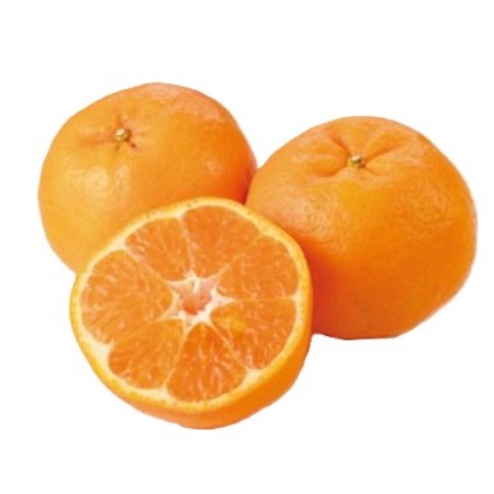 【2/27～3/1お届け分限り】ぽんかん　1袋