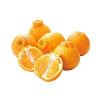 【4/5お届け分限り】デコポン 1コ