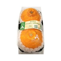 「手紙のついた果物」デコポン(肥の豊) 1パック(2コ)