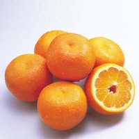 【2/6～8お届け分限り】愛愛柑 1パック