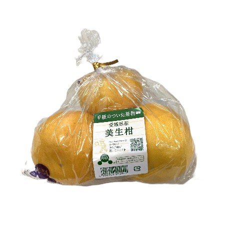 「手紙のついた果物」美生柑 1パック