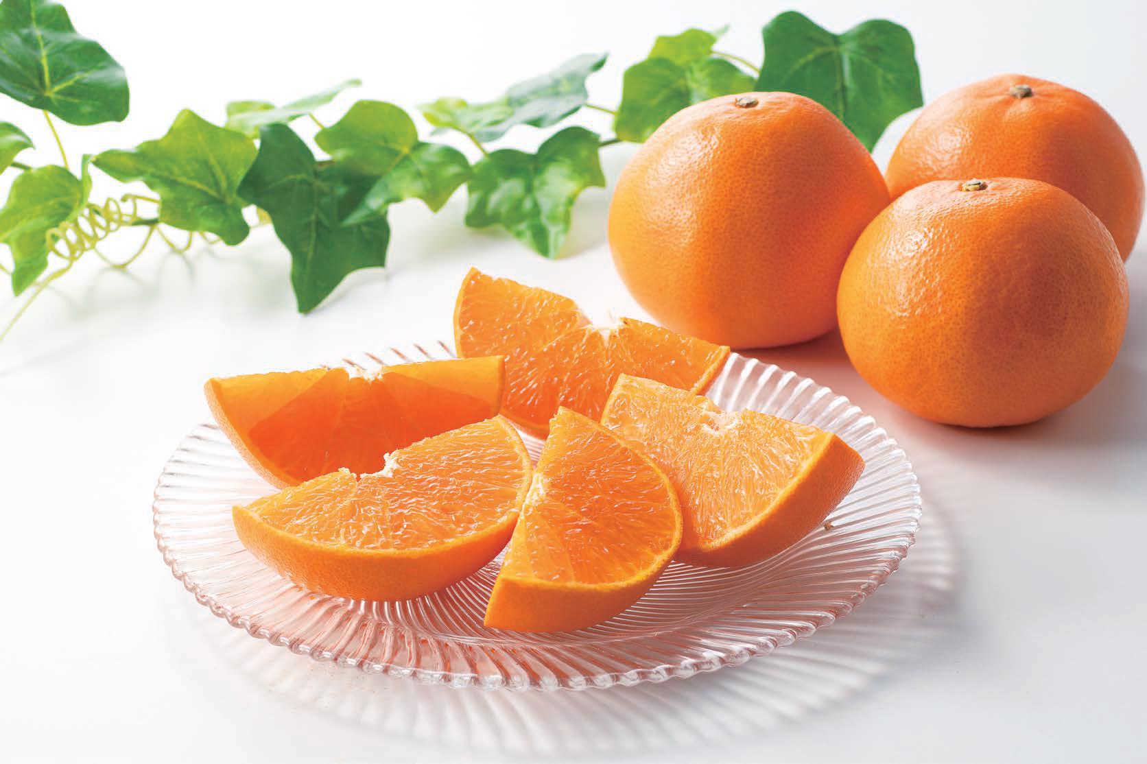 【3/9～12お届け分限り】せとか 1パック