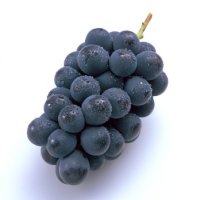 【8/28～30お届け分限り】たねなし巨峰 1パック