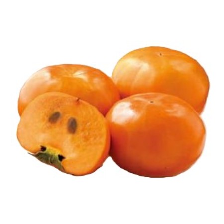 【11/14～16お届け分限り】富有柿 1コ