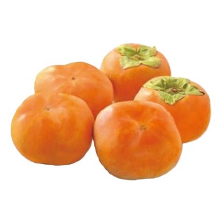 【11/14～16お届け分限り】次郎柿 1コ