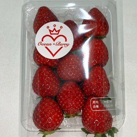 【2/20～23お届け分限り】オーシャンベリー 1パック