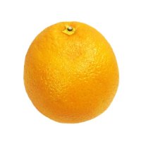 【4/14～15お届け分限り】ネーブルオレンジ 大玉1コ