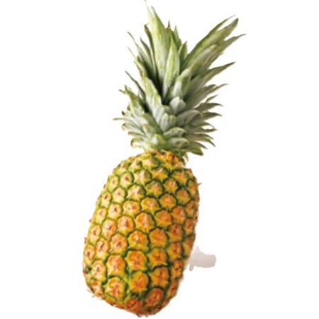 【4/17お届け分限り】パイナップル 1本