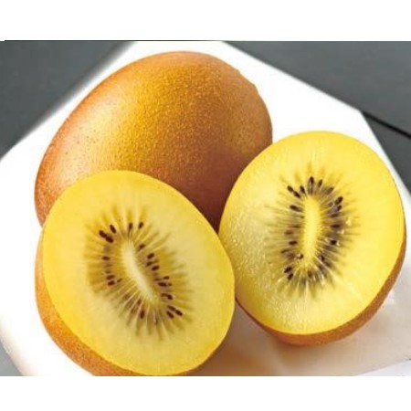 【12/20お届け分限り】国内産キウイフルーツ（サンゴールド） 1袋(4コ)