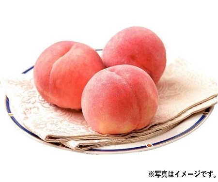 【5/9～10お届け分限り】山梨県産ハウスもも １箱