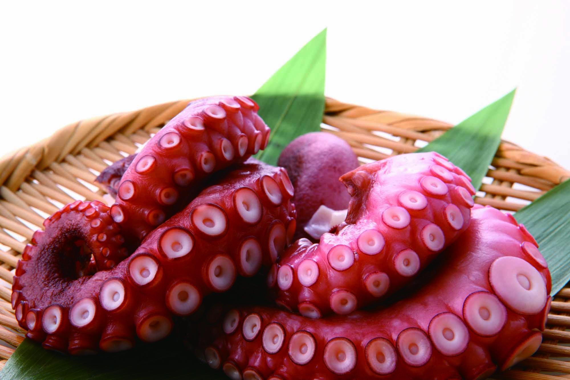 【12/28～31お届け分限り】真たこ(生食用) 200g