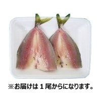 【便限定】真あじ(開き)1尾 ※賞味期限はお届け日当日になります