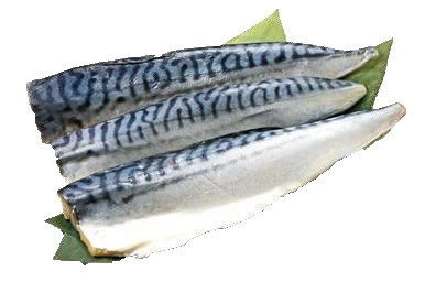 【9/18～20お届け分限り】干物(塩さば特大) 1パック