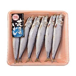 花まるいわし大 6尾