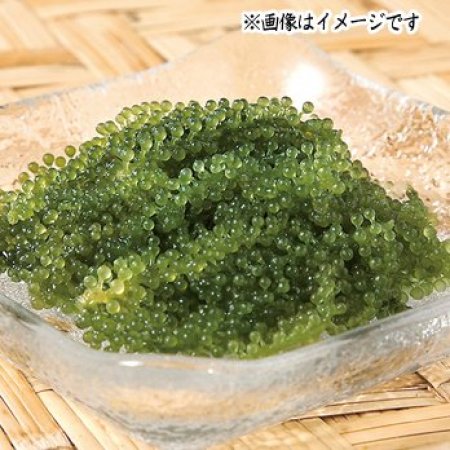 【4/24～26お届け分限り】海ぶどう 60g