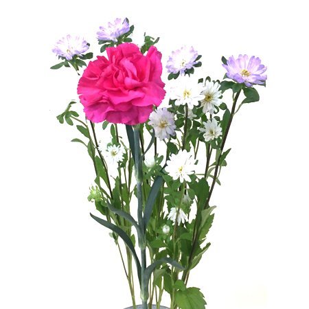 【便限定】季節の花束おまかせ(498） 1束