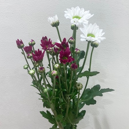 【便限定】和花(398) 1束(菊、小花等)