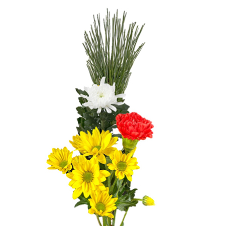 【12/27(土)～30(火)お届け分限定】和花・正月用 1束