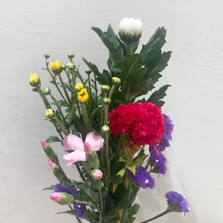 【便限定】和花(980) 1束(5～6本入)菊、小花等
