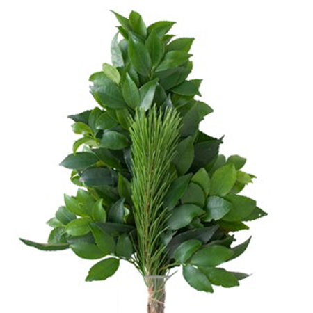 【12/27(土)～29(月)お届け分限定】松入りお榊 1対