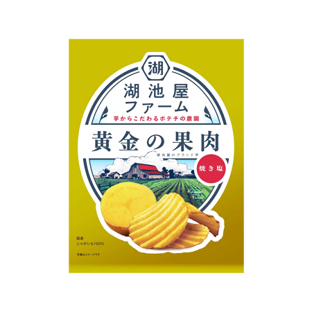 湖池屋 湖池屋ファーム 黄金の果肉 焼き塩  55g