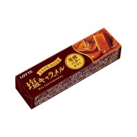 ロッテ 塩キャラメル 発酵バター仕立て  10粒入