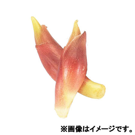 みょうが 1パック