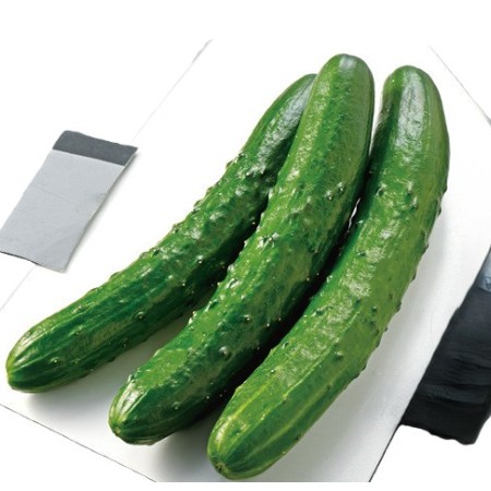 【12/30～31お届け分限り】きゅうり 1袋(3本)