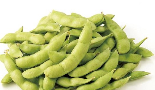 【5/9お届け分限り】えだ豆(茶豆風味) 1袋