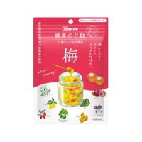 カンロ 健康のど飴 梅  90g
