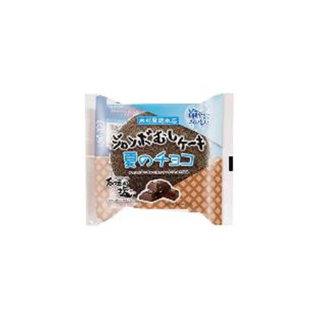木村屋 ジャンボむしケーキ 夏のチョコ   1個
