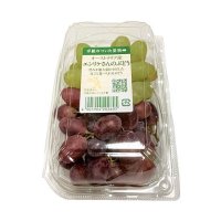 「手紙のついた果物」エンリケさんぶどう 1パック
