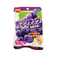 明治 ガブリチュウMiNiグレープ  28g
