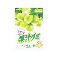 明治 果汁グミ マスカット  54g