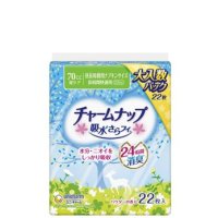 チャームナップ 吸水さらフィ 長時間快適 70cc 23cm 22枚