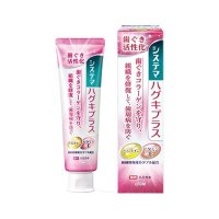 システマハグキプラス ハミガキ 90g