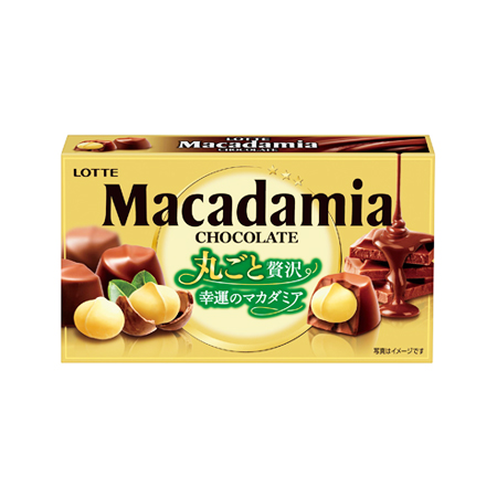 ロッテ マカダミアチョコレート  9粒入