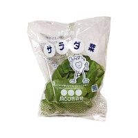 サラダ菜 1コ