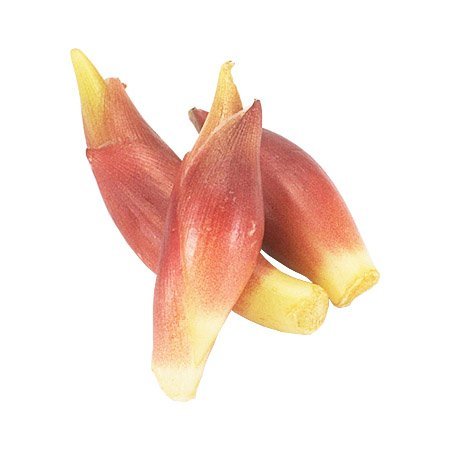 みょうが 1パック