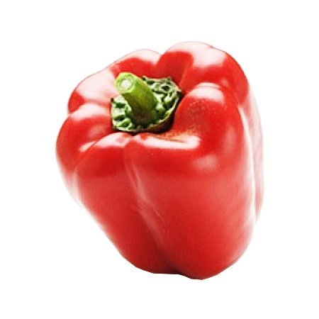 ﾊﾟﾌﾟﾘｶ(赤)