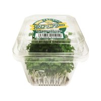 ブロッコリー（スプラウト） 1パック
