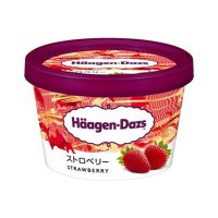 ハーゲンダッツ ミニカップ ストロベリー 110ml