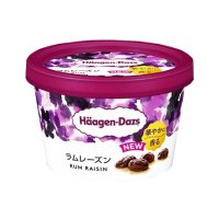 ハーゲンダッツ ミニカップ ラムレーズン   110ml