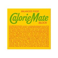 大塚製薬 カロリーメイト フルーツ味  80g