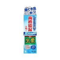 [D]生葉Ｉ 息スーッと実感 100g